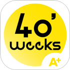 40weeks icon