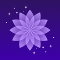 Lavender - Sleep & Relax