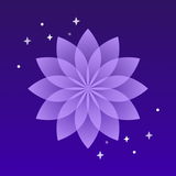 Lavender - Sleep & Relax