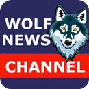 APK Wolf News. Создать поддельные новости, Шутки, joke