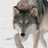 Wolfsgeräusche APK