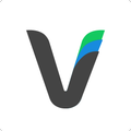 Vibi