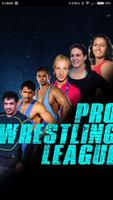 Pro Wrestling League poster