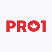 PRO1 Programming icon