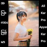 အပြာကား _ Apyarkar Pro ícone