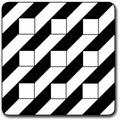 Vision & Illusions