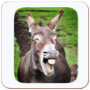 ханда ханда APK