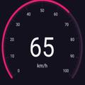 GPS Speedometer - Odometer App
