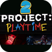 project multiplayer : playtime