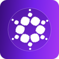Cardano Game