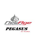 Pegasus Timesheets Affiche