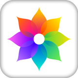 Gallery - Photo & Video Vault APK