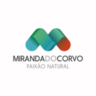 Miranda do Corvo icône