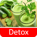 Receitas de Suco Detox grátis em portuguesas APK