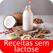 Receitas sem lactose grátis em portuguesas