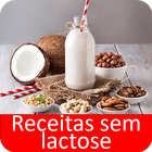 ikon Receitas sem lactose