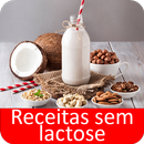 Receitas sem lactose grátis em portuguesas APK