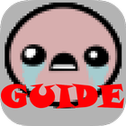 Guide for BOI icon