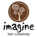 Imagine Hair Creativity APK