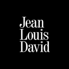JLD - Jean Louis David - PT icône