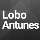 António Lobo Antunes icône