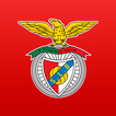آیکون‌ SL Benfica Official App