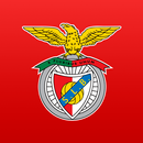 SL Benfica Official App APK