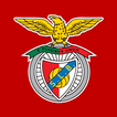 ”Benfica Official App