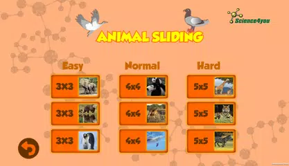 Educational Mini Games XAPK download