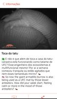 Tatu-Canastra imagem de tela 3