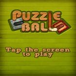 Puzzle Ball