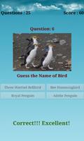 Birds Puzzle স্ক্রিনশট 3