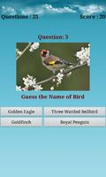 Birds Puzzle স্ক্রিনশট 2