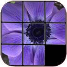 Flowers puzzle, discover which one is hidden. أيقونة