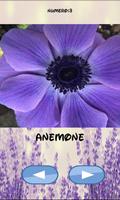 Flowers puzzle, discover which one is hidden. الملصق