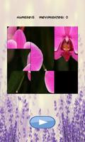 Flowers puzzle, discover which one is hidden. تصوير الشاشة 1