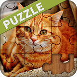 Puzzles de chat icône