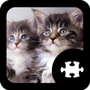 Kat en kitten puzzle APK