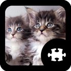 Kat en kitten puzzle icône