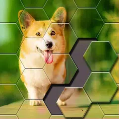 Jigsaw Puzzle - Hexa Block Puz