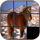 Horses Puzzle, find out which one is hidden. أيقونة