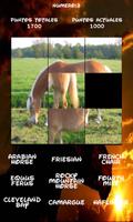 Horses Puzzle, find out which one is hidden. تصوير الشاشة 1