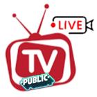 Public Live TV -Sports & Drama icône
