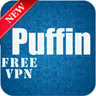 vpn for puffin vpn free 图标