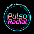 Pulso Radial icon