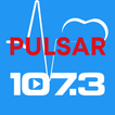 Pulsar 107.3 Radio + आइकन