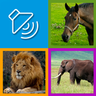 Learn animal sounds icon