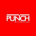 Punch News icon