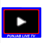 Punjab Live TV icône