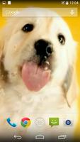 Puppy Licks Screen پوسٹر